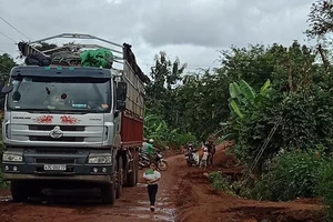 Cúp nhầm cầu dao, thanh niên bị điện giật tử vong