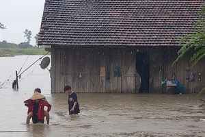 Mưa lớn gây ngập hàng ngàn hécta hoa màu ở Đắk Lắk