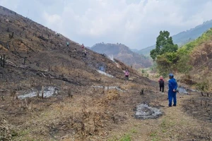 “Nóng” tình trạng phá rừng, lấn chiếm đất rừng ở Đắk Lắk