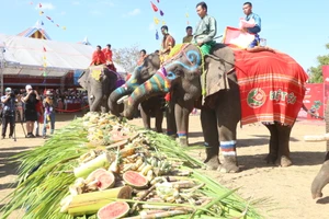 Đặc sắc hội voi Buôn Đôn