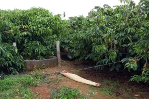 Giếng nước nơi phát hiện thi thể, nghi của người chồng đâm chết vợ