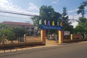  Phó Bí thư Đảng ủy xã đánh học sinh tiểu học xin thôi chức