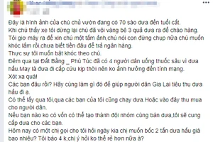 Trang Facebook đăng tải thông tin 4 người tự tử vì dưa hấ