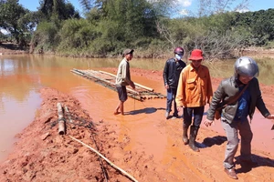 Yêu cầu đánh giá toàn diện việc đầu tư thủy điện Plei Kần