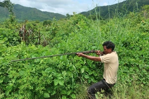 Bắn gà, chết người