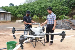 Kon Tum: Nông dân dùng thiết bị bay không người lái chăm sóc cà phê