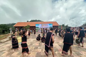 Phiên chợ sâm Ngọc Linh ở Tê Xăng: Gắn kết bảo tồn văn hóa với phát triển dược liệu