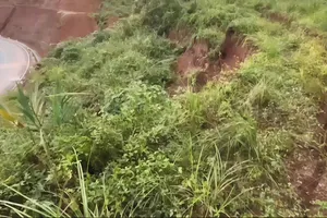 Quảng Ngãi: Nứt taluy Quốc lộ 24, khoảng 3.000m³ đất nguy cơ sạt lở