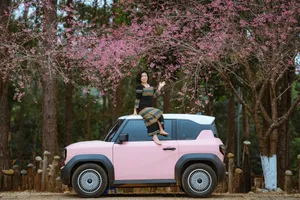 Chào năm mới 2026, Quảng Ngãi lan tỏa khát vọng phát triển