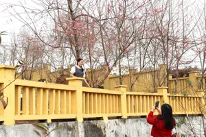 Quảng Ngãi: Tuần Văn hóa – du lịch Măng Đen kéo dài 4 ngày 