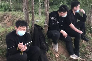 Quang Tri Police looking for illegal immigrant avoiding quarantine