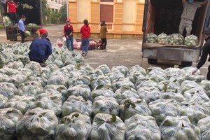Capital  “rescues” unsellable produce from pandemic-stricken province