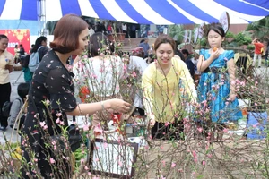 Bảo tàng Đà Nẵng tái hiện lại phiên chợ Tết qua chương trình “Phiên chợ ngày Tết” nhân dịp Xuân Canh Tý 2020