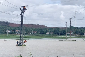 EVNCPC tiến hành kiểm tra lưới điện để khôi phục ngay khi đảm bảo an toàn cho con người và thiết bị