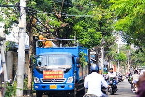 Cây xanh trên đường Nguyễn Phan Vinh (quận Sơn Trà, TP Đà Nẵng ) được cắt tỉa trước khi cơn bão số 9 đổ bộ 