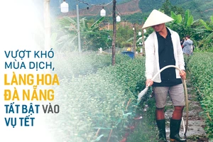 Vượt khó mùa dịch, làng hoa Đà Nẵng tất bật vào vụ tết