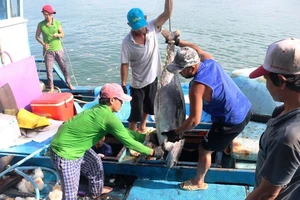 Toàn cảnh hội nghị. Ảnh: XUÂN QUỲNH