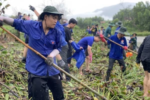 Đoàn viên thanh niên dầm mưa vớt bèo lục bình, khơi thông lối thoát nước tại xã Hòa Nhơn 