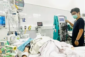 Các bác sĩ bệnh viện Đà Nẵng điều trị trường hợp bị rắn cắn