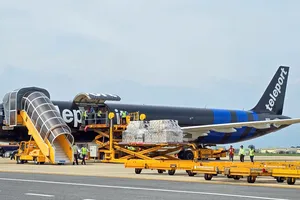 Hàng hóa viện trợ của Trung tâm AHA được đưa từ máy bay xuống Sân bay quốc tế Đà Nẵng