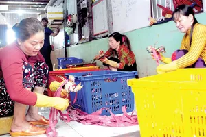 Cua Năm Căn - Cà Mau bị xâm phạm nhãn hiệu