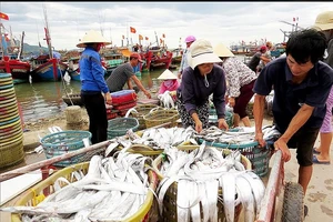 Loay hoay bảo quản thủy hải sản