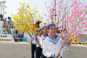 Đưa mai, đào lên tàu ra đảo