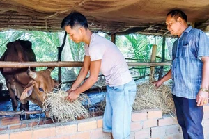 Trà Vinh - điểm sáng giảm nghèo