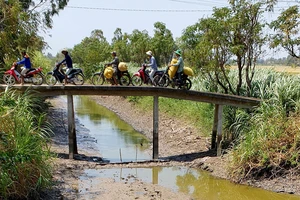 Nhiều dòng kênh ở huyện Gò Công Tây (Tiền Giang) đã cạn nước. Ảnh: ĐĂNG NGUYÊN