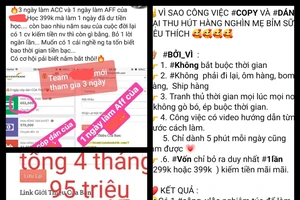 Những lời quảng cáo cùng khoản thu nhập khủng nhằm chiêu dụ thành viên tham gia