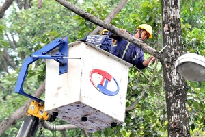 Nhân viên Công ty TNHH MTV Công viên cây xanh TPHCM mé nhánh cây trên đường Tô Hiến Thành, quận 10. Ảnh: NGUYỄN NHÂN