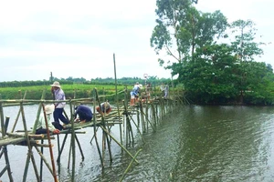 “Sóng ngầm” khai thác cát ở miền Trung: Thách thức cơ quan chức năng