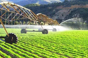  Một trang trại nông nghiệp ở Kazakhstan