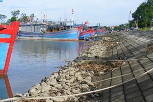 Những khối đá hộc dưới chân kè và lòng sông tạo thành các “bẫy” đối với tàu thuyền neo đậu tại âu thuyền cửa sông Lý (xã Quảng Thạch, huyện Quảng Xương, Thanh Hóa). Ảnh: DUY CƯỜNG