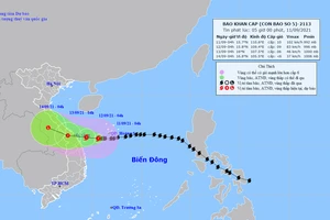 Đường đi của bão số 5. Ảnh: TTDBKTTVQG