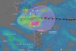 Sáng 14-10, bão số 8 vào vùng biển từ Nam Định đến Quảng Bình