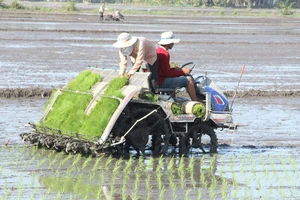 Né hạn, sử dụng phân bón thân thiện môi trường