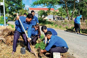 Mô hình “Mỗi đoàn viên 1 cây xanh” được triển khai sôi nổi tại Sóc Trăng