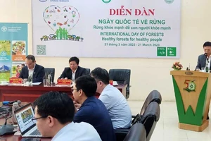 Đại diện FAO phát biểu