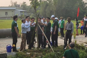 Lãnh đạo UBND huyện Hòa Vang và Vietcombank trồng cây xanh tại cánh đồng thôn Phú Sơn Tây, xã Hòa Khương