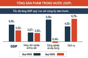 Đại diện Tổng cục Thống kê chủ trì cuộc họp báo