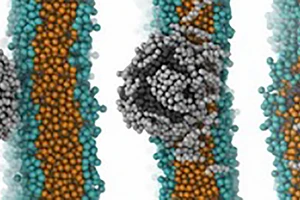 Mô hình các phân tử nhựa và cholesterol vượt qua hàng rào máu não. Ảnh: NANOMATERIALS