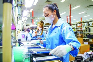 TPHCM: 6 tháng đầu năm thu ngân sách 227.800 tỷ đồng