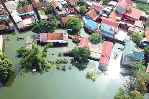 Ảnh hưởng của El Nino: Bão và áp thấp nhiệt đới có thể trái quy luật