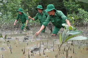 Phát triển thị trường tài chính xanh và tín chỉ carbon: Chậm triển khai, cơ hội sẽ “trôi” mất