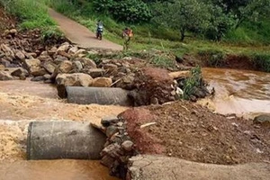 Bình Phước: Lũ cuốn trôi đường, hàng trăm hộ dân bị cô lập