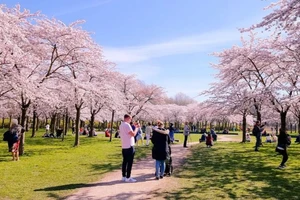 Amsterdamse Bos tại TP Amsterdam, một trong những công viên lớn nhất của châu Âu