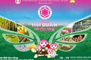 Nhiều hoạt động trong Ngày hội hội quán Đất Sen hồng