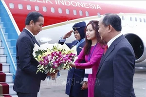 Chủ nhiệm Văn phòng Chủ tịch nước Lê Khánh Hải đón Tổng thống Indonesia Joko Widodo tại sân bay quốc tế Nội Bài. Ảnh: TTXVN