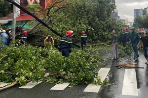 TPHCM cử lực lượng hỗ trợ Hà Nội, Hải Phòng khắc phục hậu quả bão số 3